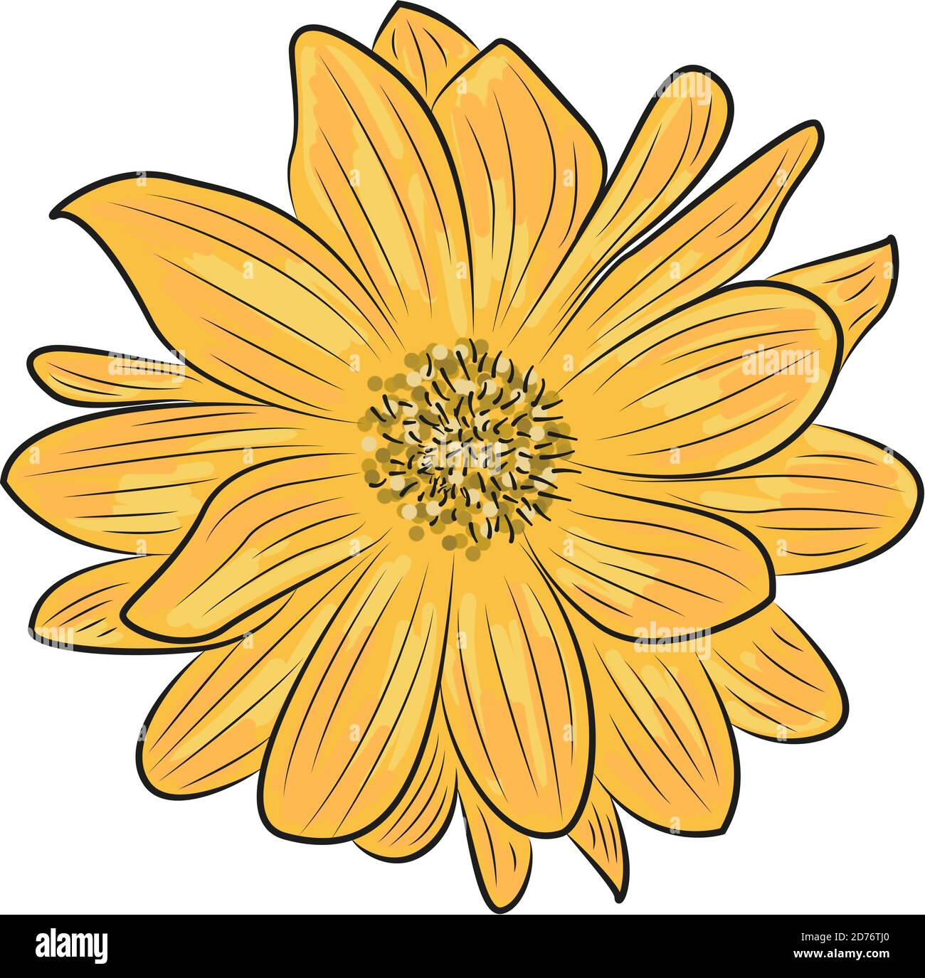 Yellow orange flower Stock Vector Images Alamy