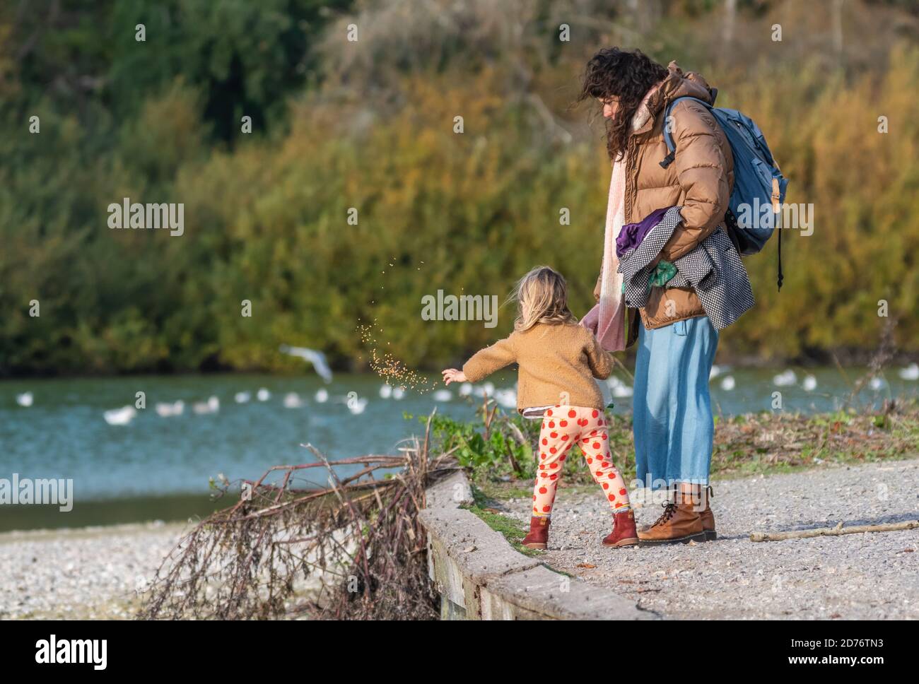 Adult and child standing wearing coats on a cold Autumn morning, feeding birds and ducks on a lake in the UK. Stock Photo