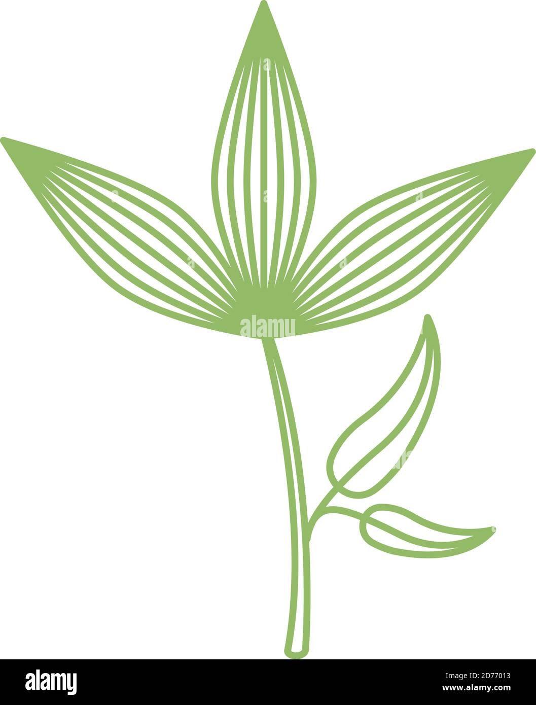 branch with leafs plant nature icon vector illustration design Stock ...