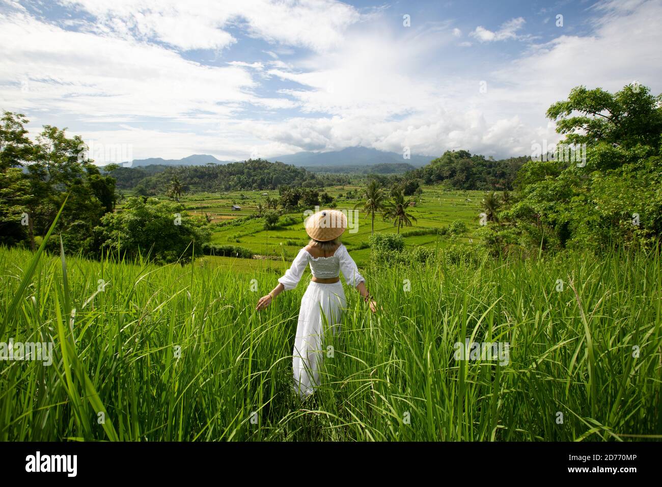 Holiday photograph young woman walking crossing rice field with bali ...