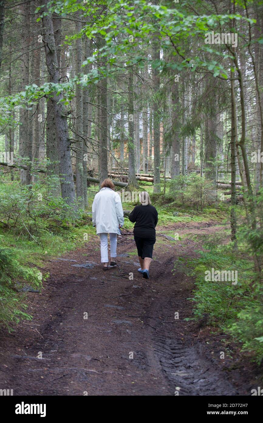 FOREST WALK two women on forest road Stock Photo - Alamy