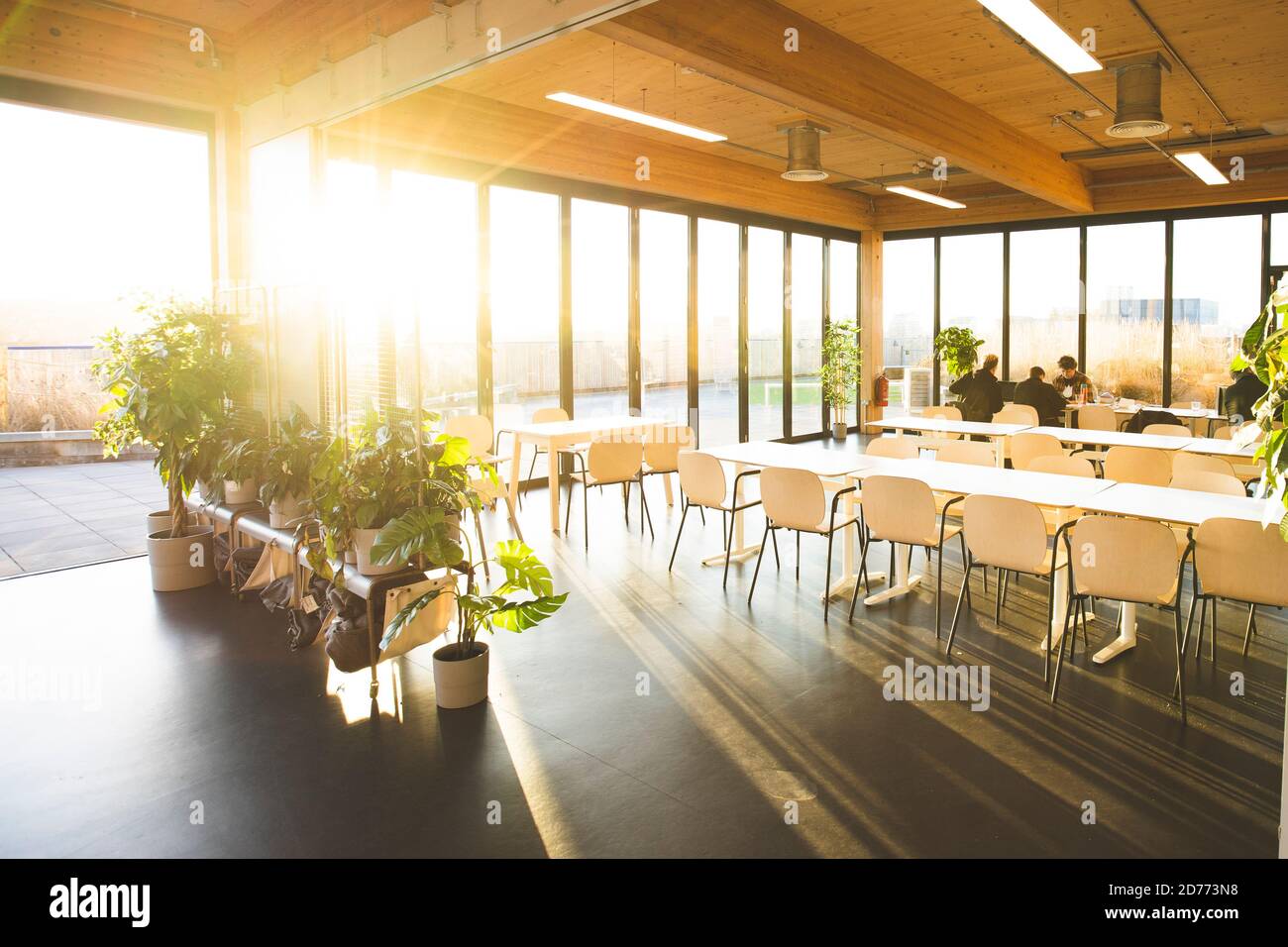 London, UK, January 19, 2020: People working at coworking space area roof top with sunset Stock Photo