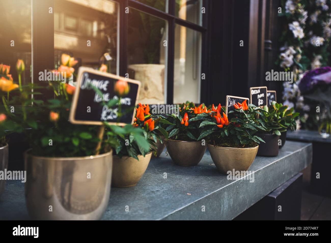flower shop in London Stock Photo Alamy