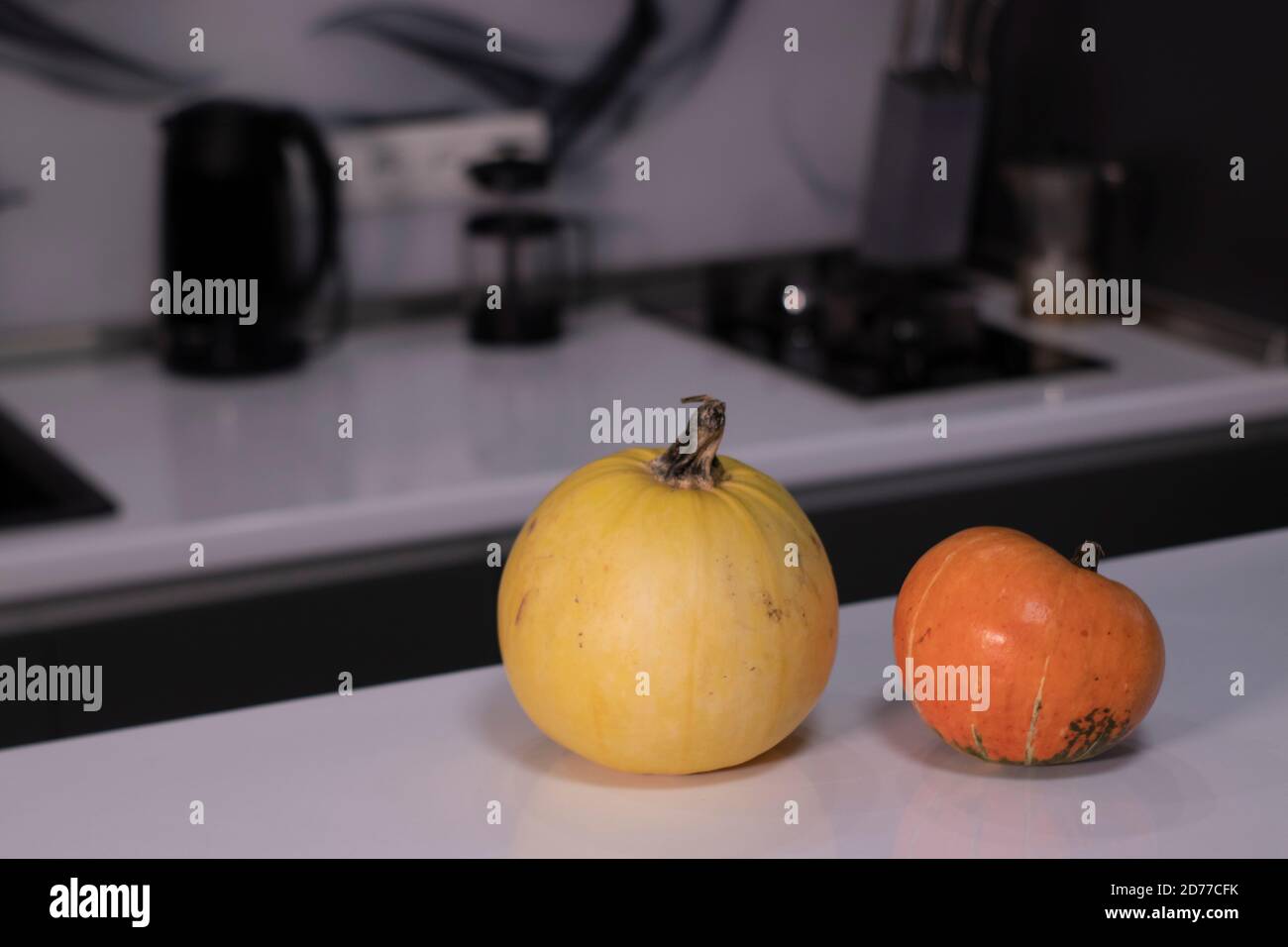 two pumpkins on white table in gray kitchen. halloween concept. Stock Photo