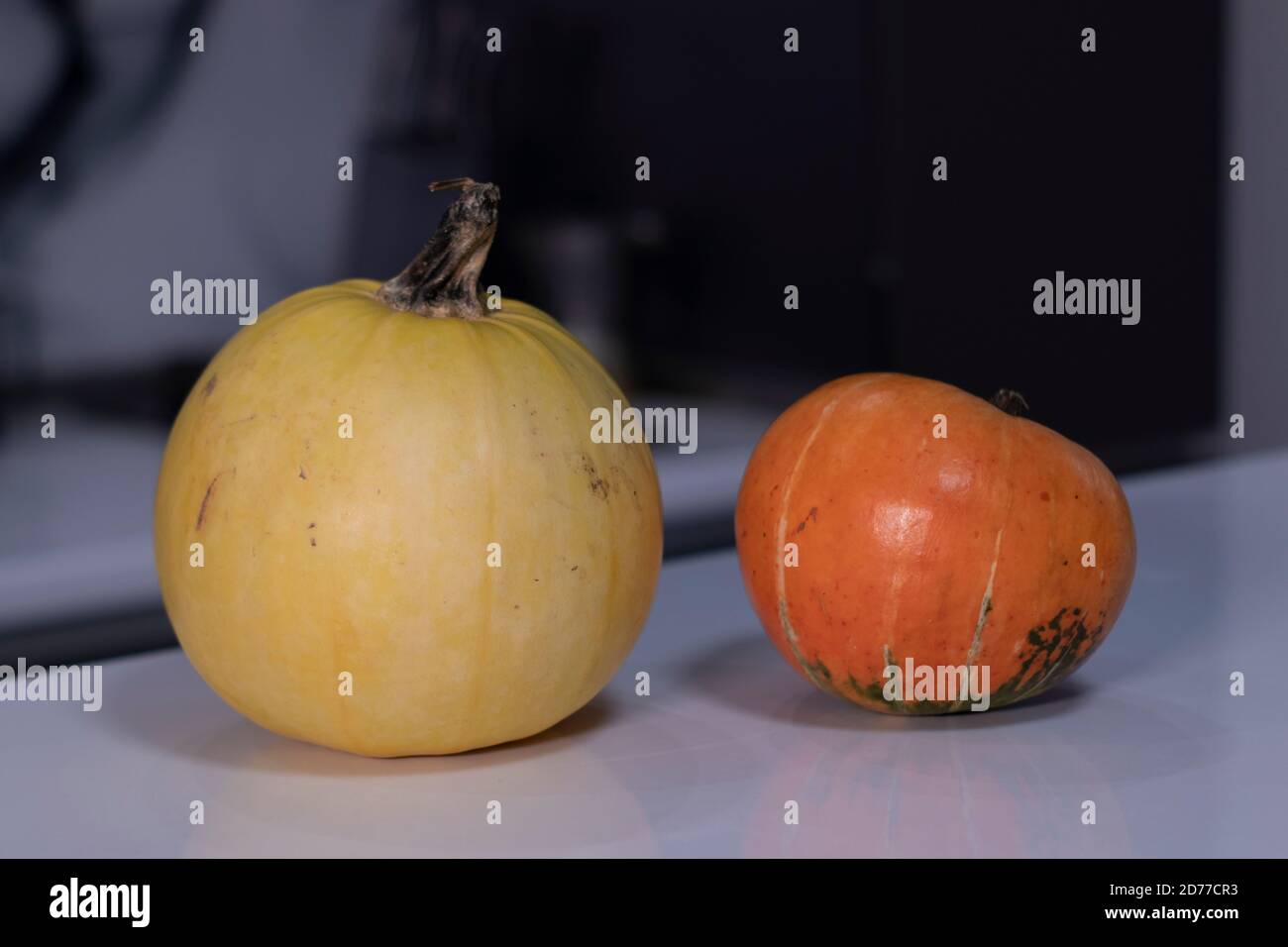 two pumpkins on white table in gray kitchen. halloween concept. Stock Photo