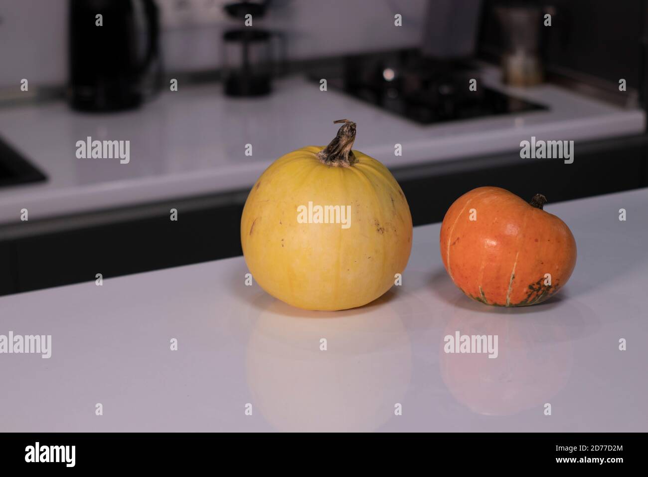 two pumpkins on white table in gray kitchen. halloween concept. Stock Photo