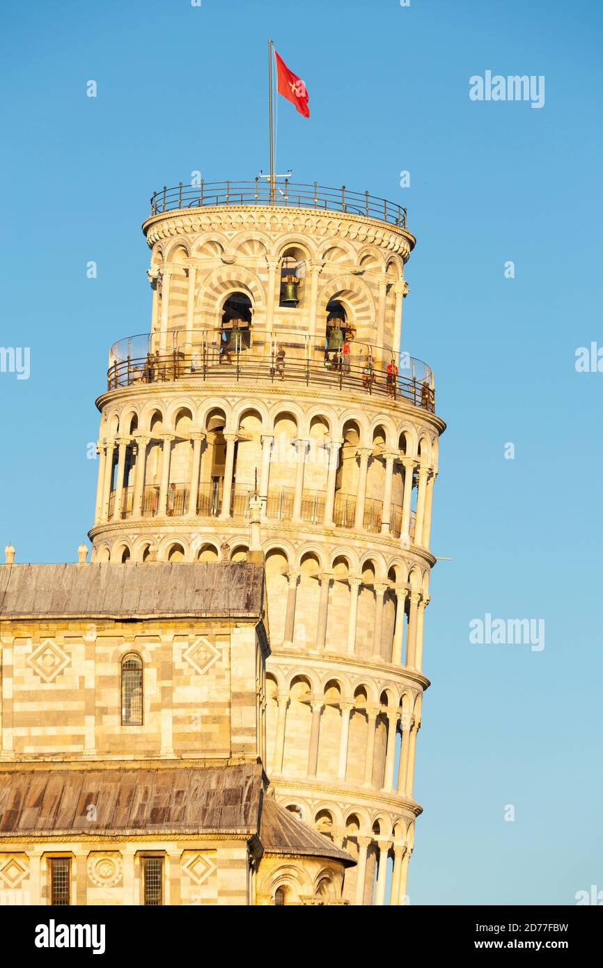 Close-up of the Leaning Tower of Pisa bathed in golden late-afternoon light, Pisa, Tuscany, Italy Stock Photo