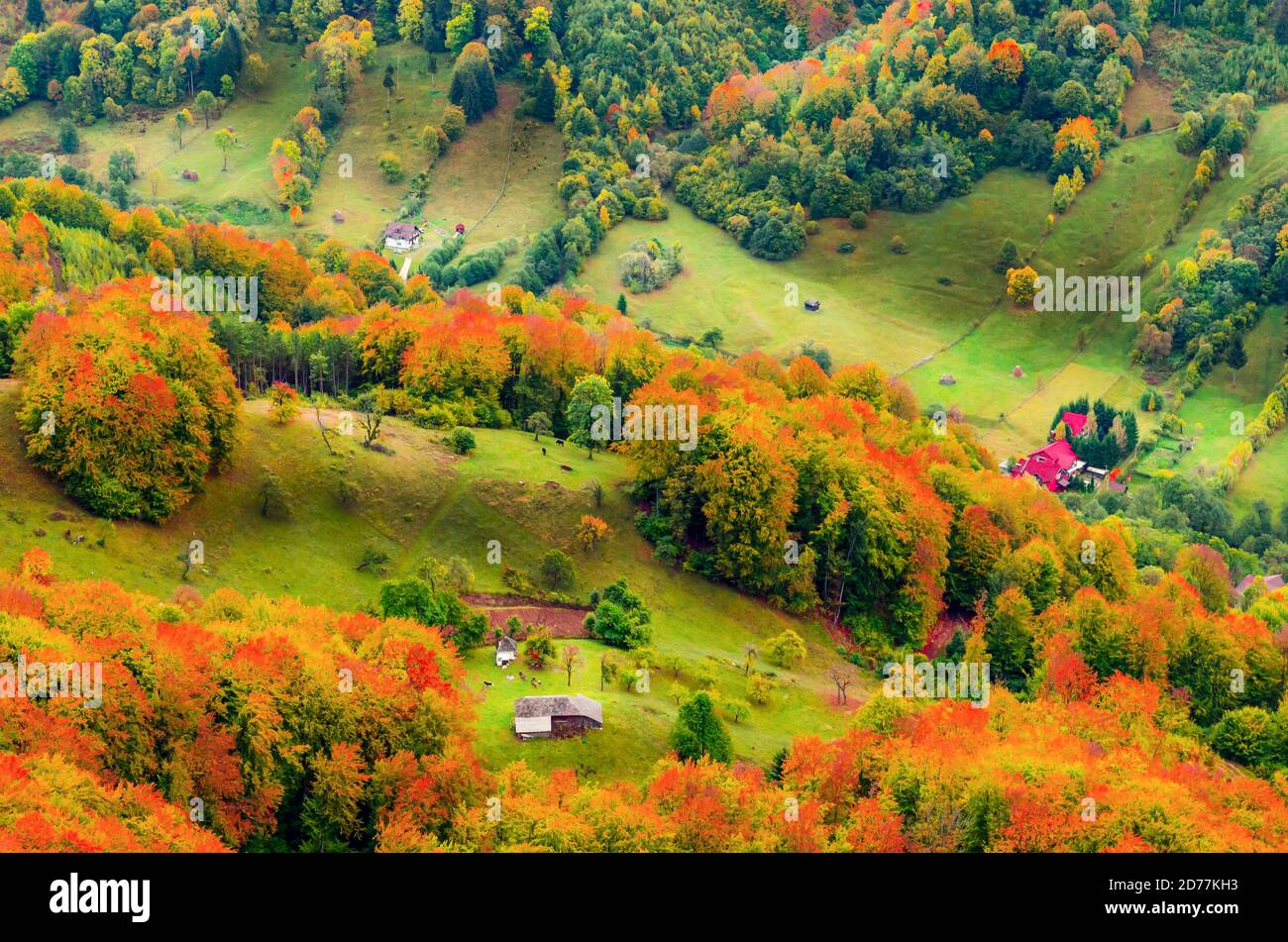 Fall landscape in the mountains. Mountain autumn scene with colorful trees in the forest. There are some houses and cottages in the meadow Stock Photo