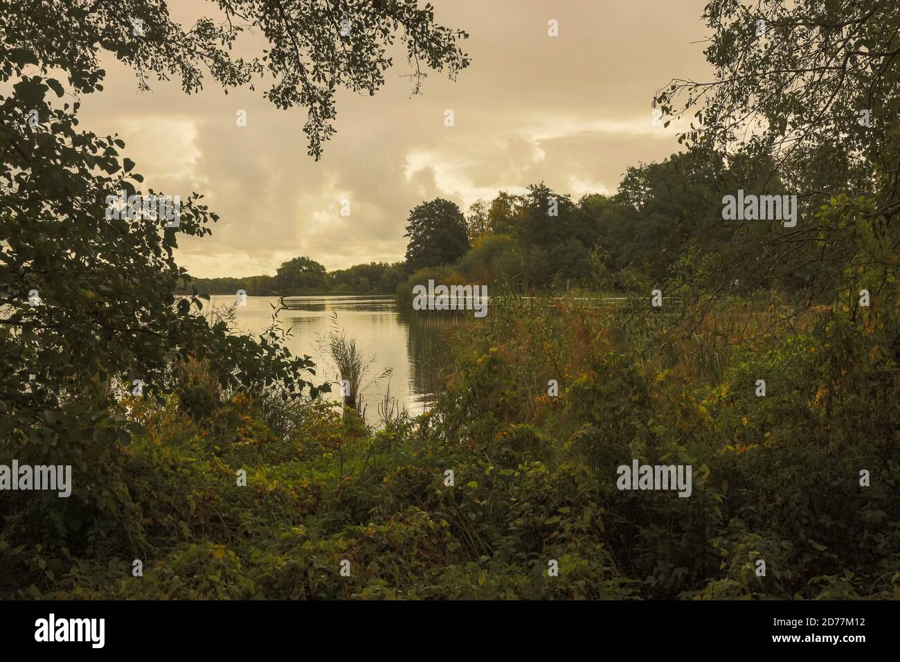 The Kellersee showed itself in a melancholy mood on this October day. Stock Photo
