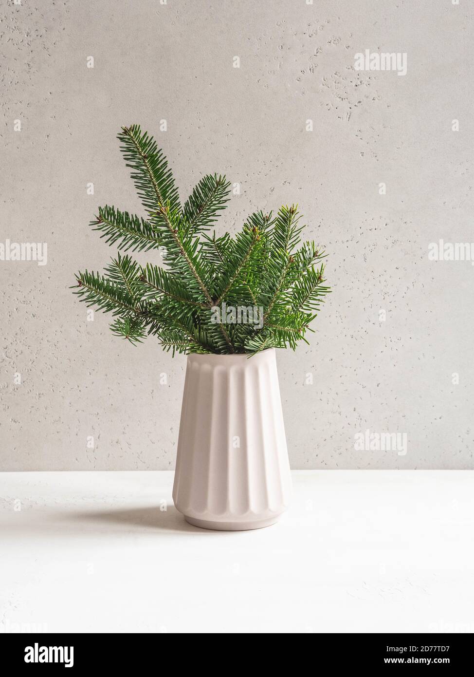 Minimalistic christmas composition with fir branches in modern ceramic vase on gray background. Front view. Copy space Stock Photo