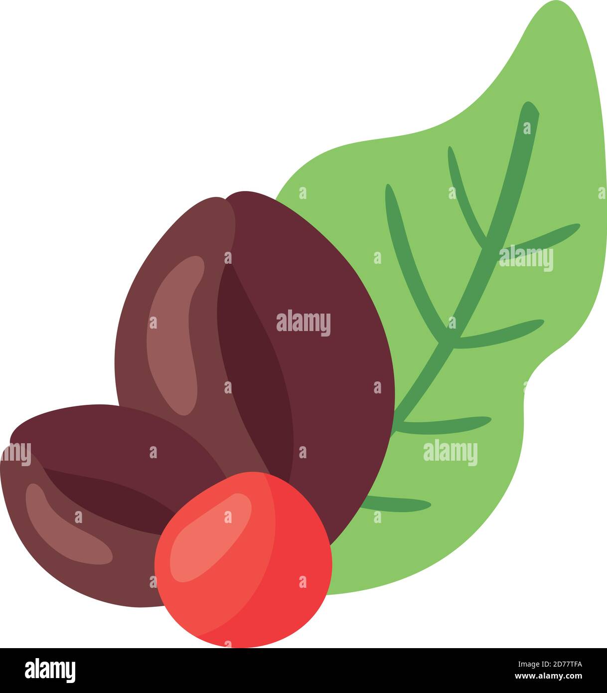 coffee plant grains and leafs nature flat icon vector illustration ...