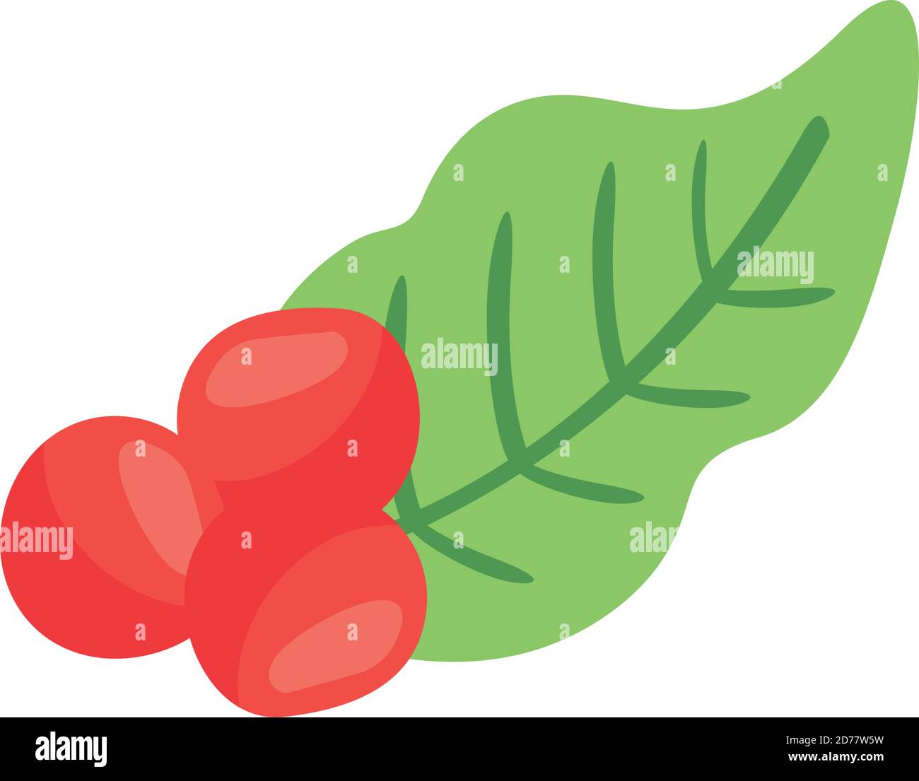 coffee plant grains and leafs nature flat icon vector illustration ...