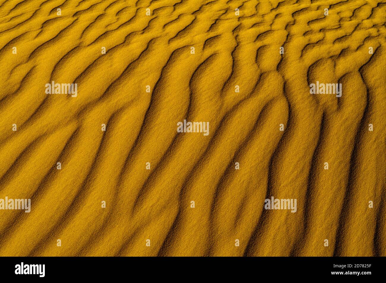 wind shaped Desert sand dune Stock Photo