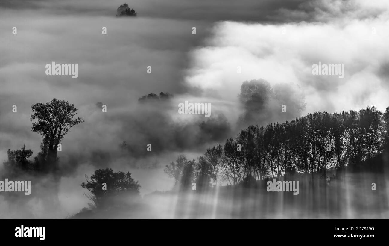 Black and white landscape with fog and trees Stock Photo - Alamy