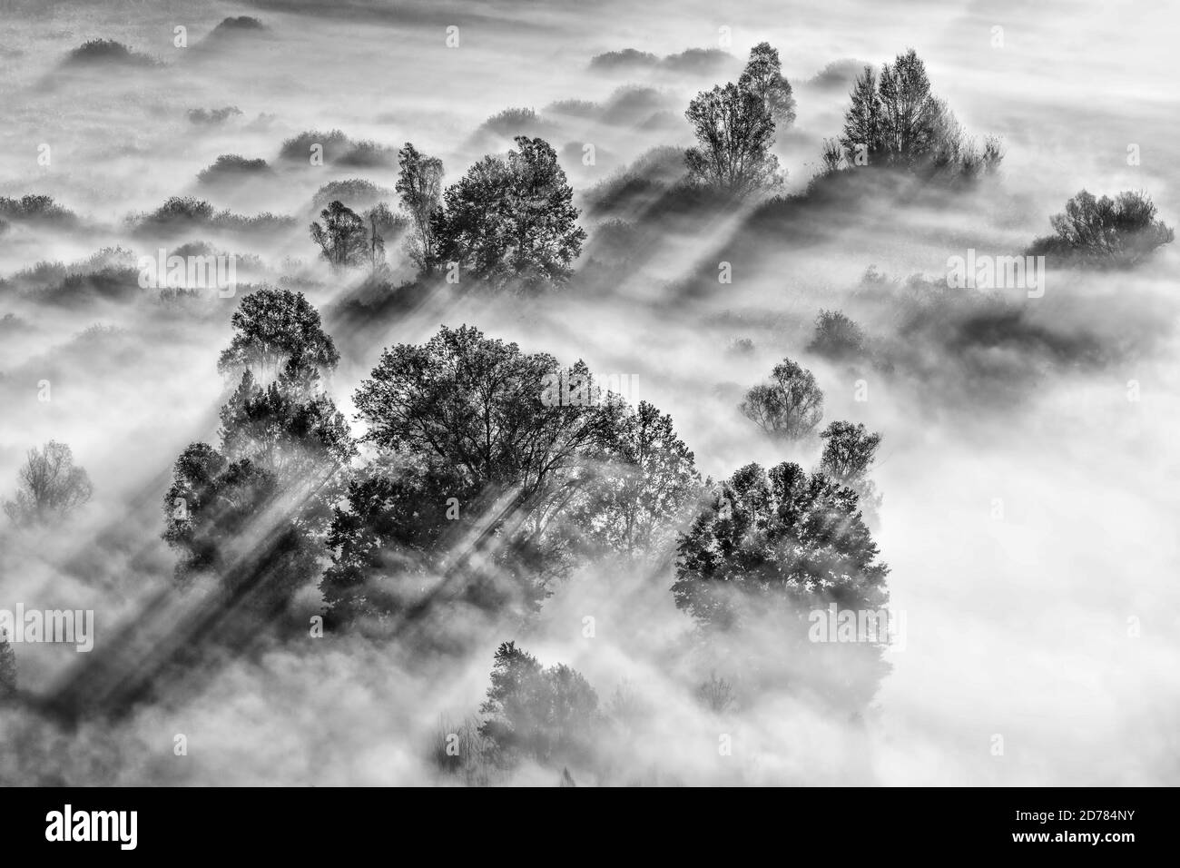 Black and white landscape with fog in the mountains at sunrise Stock ...