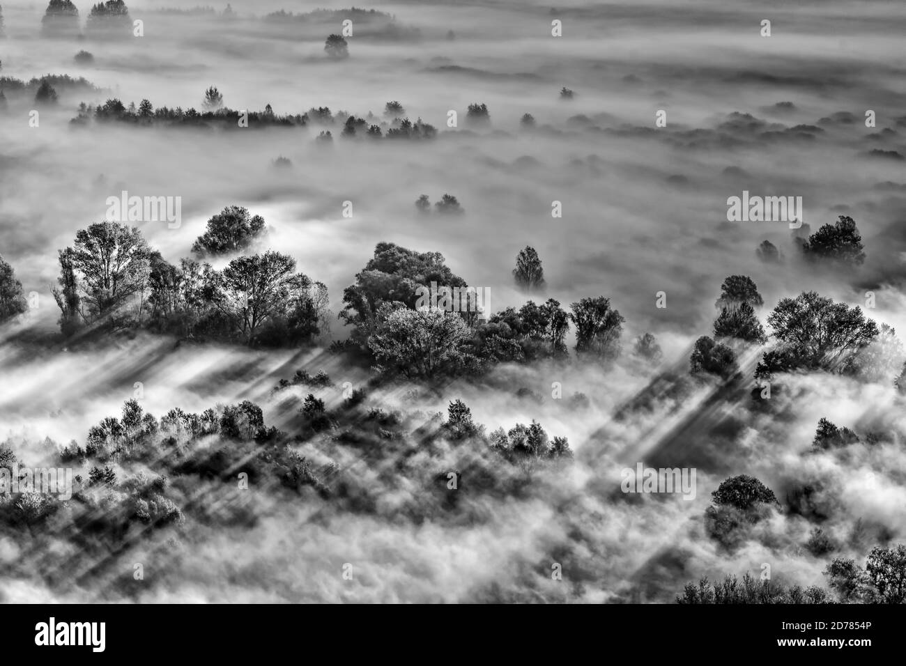 Black and white landscape with fog in the mountains at sunrise Stock ...
