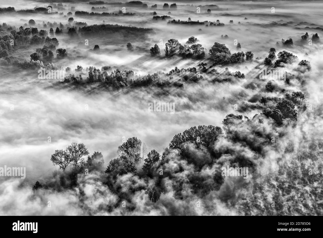 Black and white landscape with fog and trees Stock Photo - Alamy