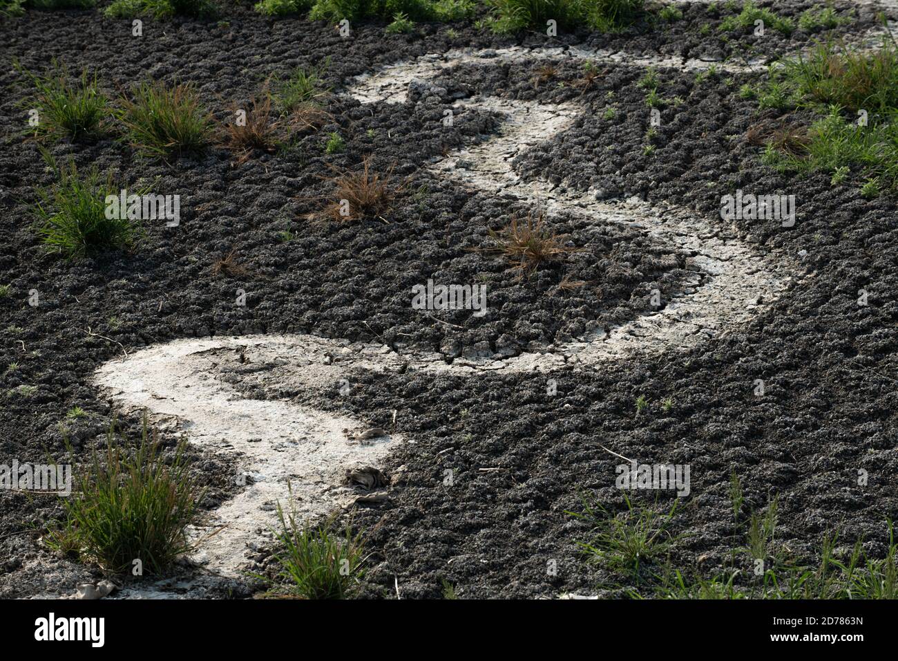 Drought - a Dry riverbed Stock Photo