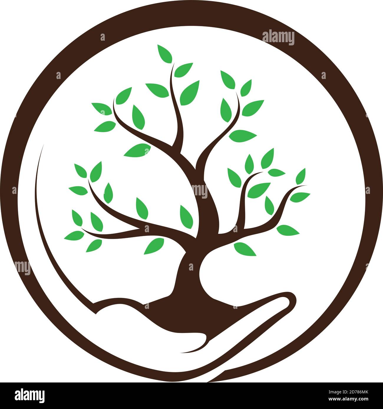 Hand holding plant and grow with green leaf on the white background