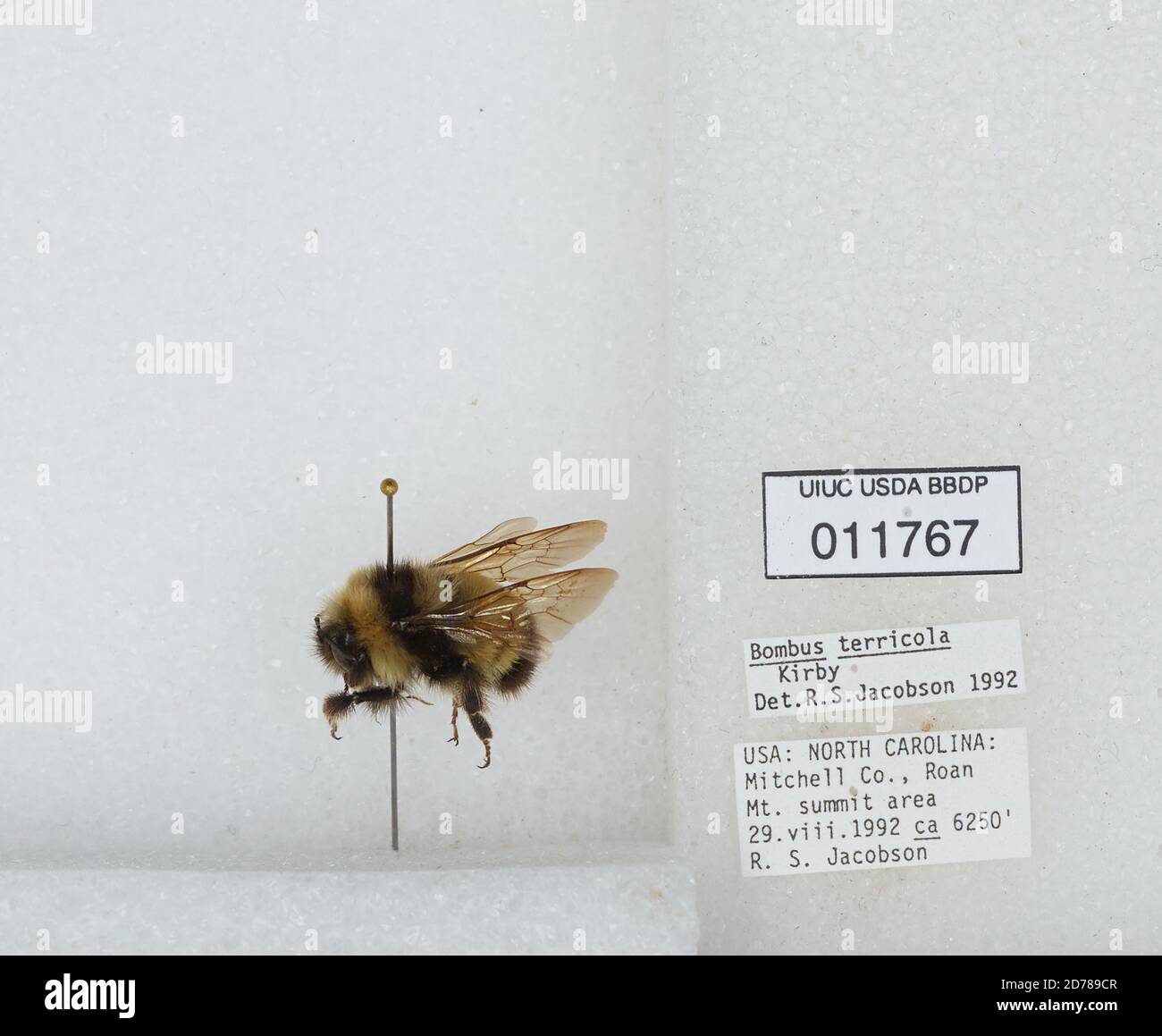 Roan mountain summit area hires stock photography and images Alamy