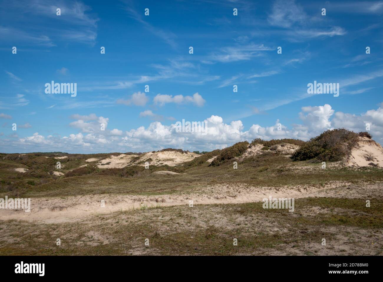 Dunes area called the 'schoorlse duinen' in the dune area of the ...