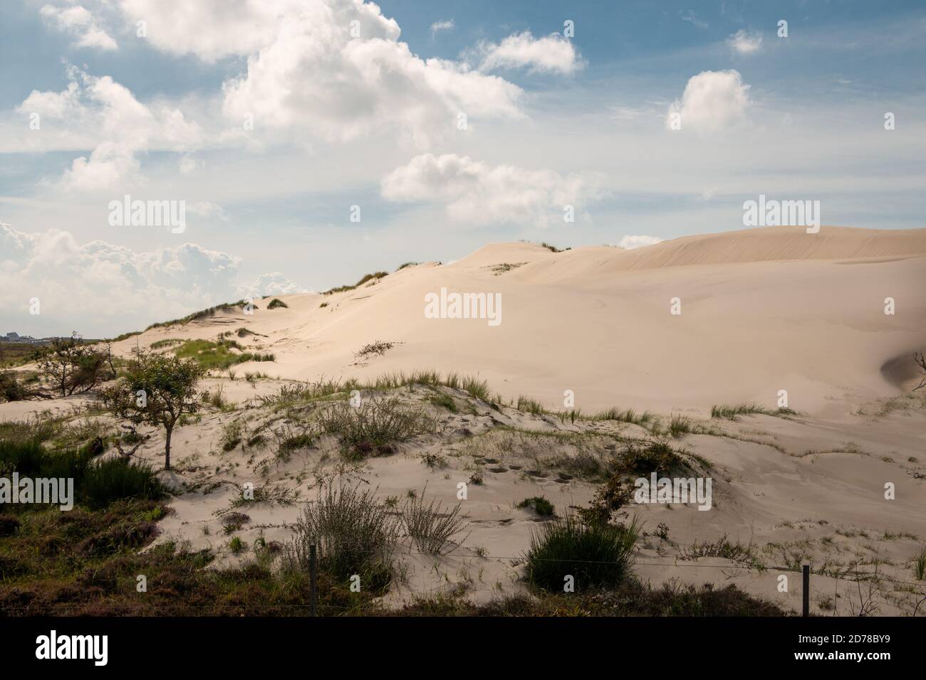 Dunes area called the 'schoorlse duinen' in the dune area of the ...