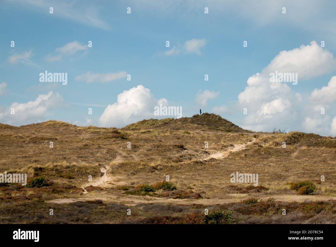 Dunes area called the 'schoorlse duinen' in the dune area of the ...