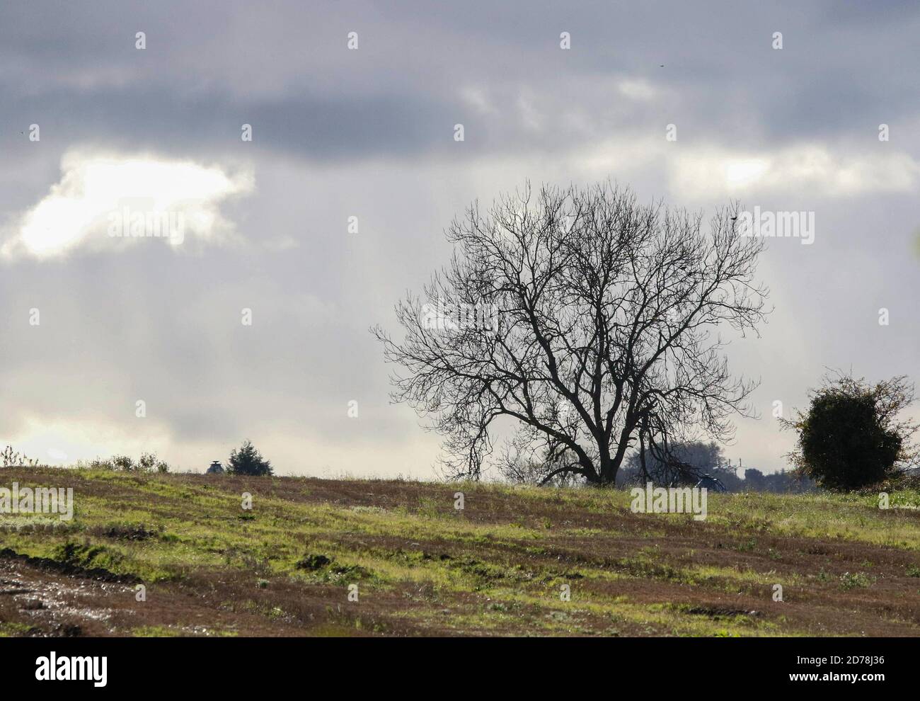 Magheralin, County Armagh, Northern Ireland. 21 Oct 2020. UK weather: sunny spells with sharp heavy showers sweeping through on an increasing westerly breeze. Credit: CAZIMB/Alamy Live News. Stock Photo