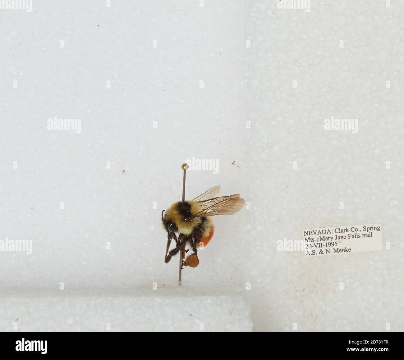 Mary jane falls hi-res stock photography and images - Alamy