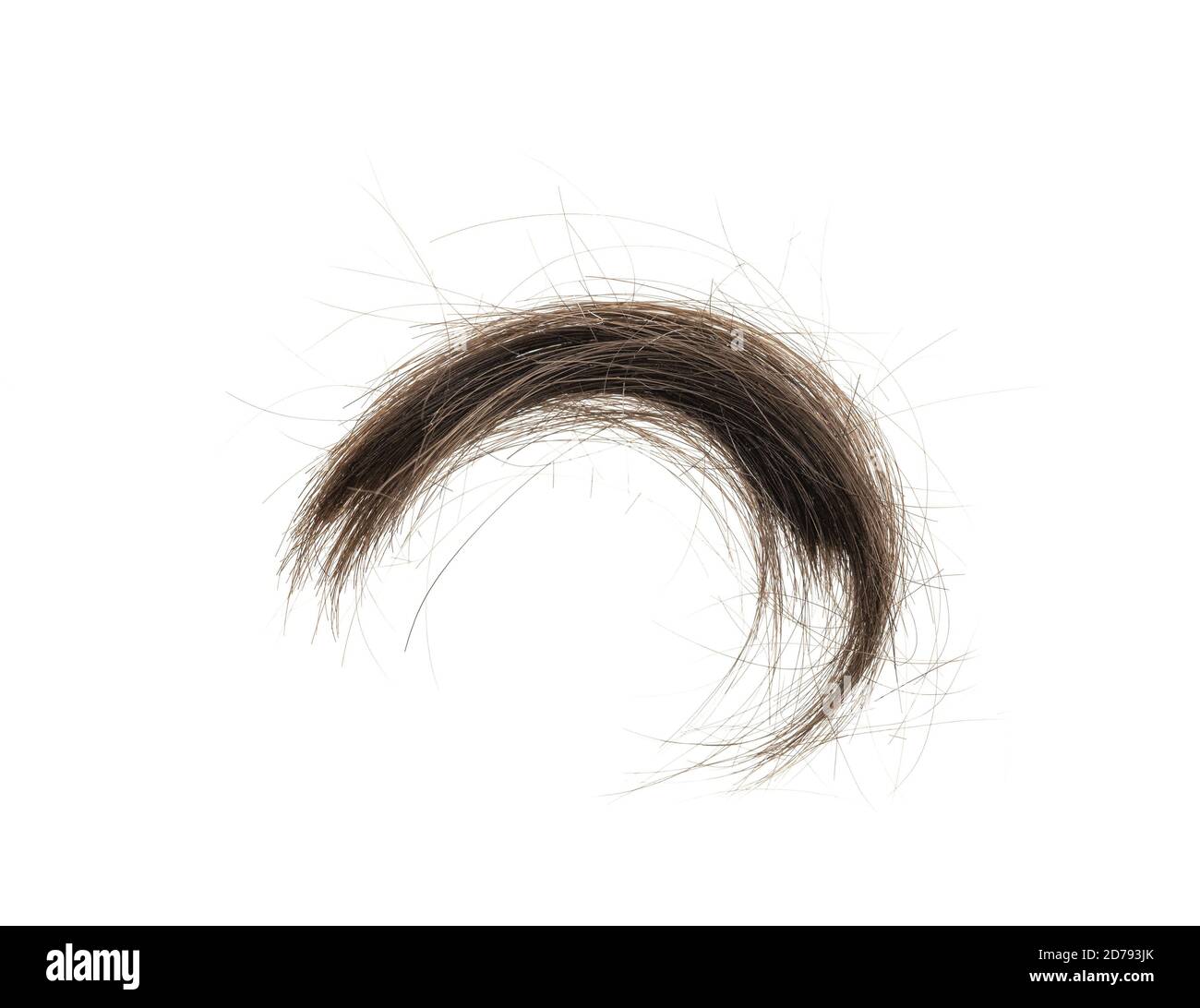 Hair bundle isolated on white background. tuft hair closeup Stock Photo Alamy