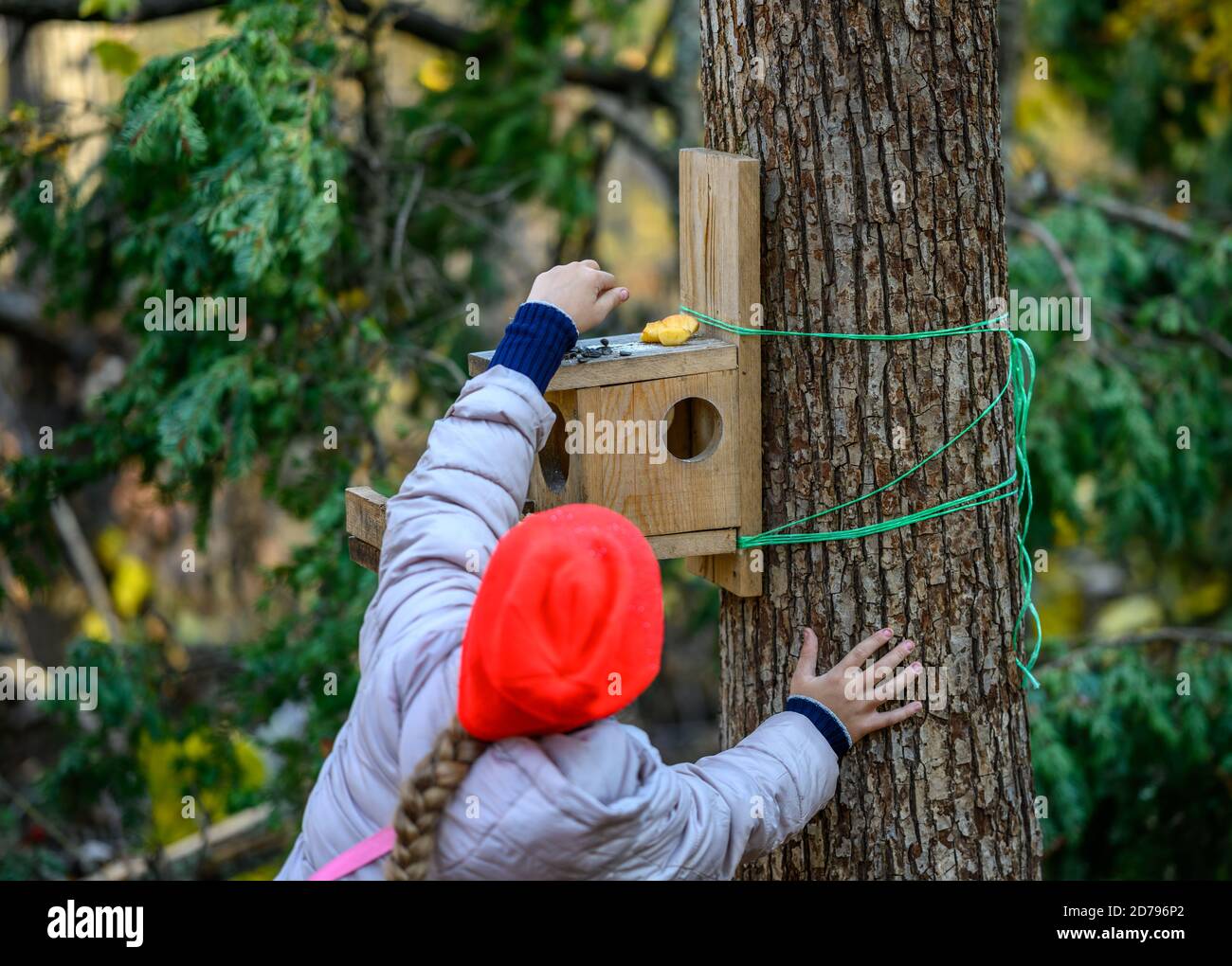 Girl pours food into the bird feeder in the autumn forest. Stock Photo