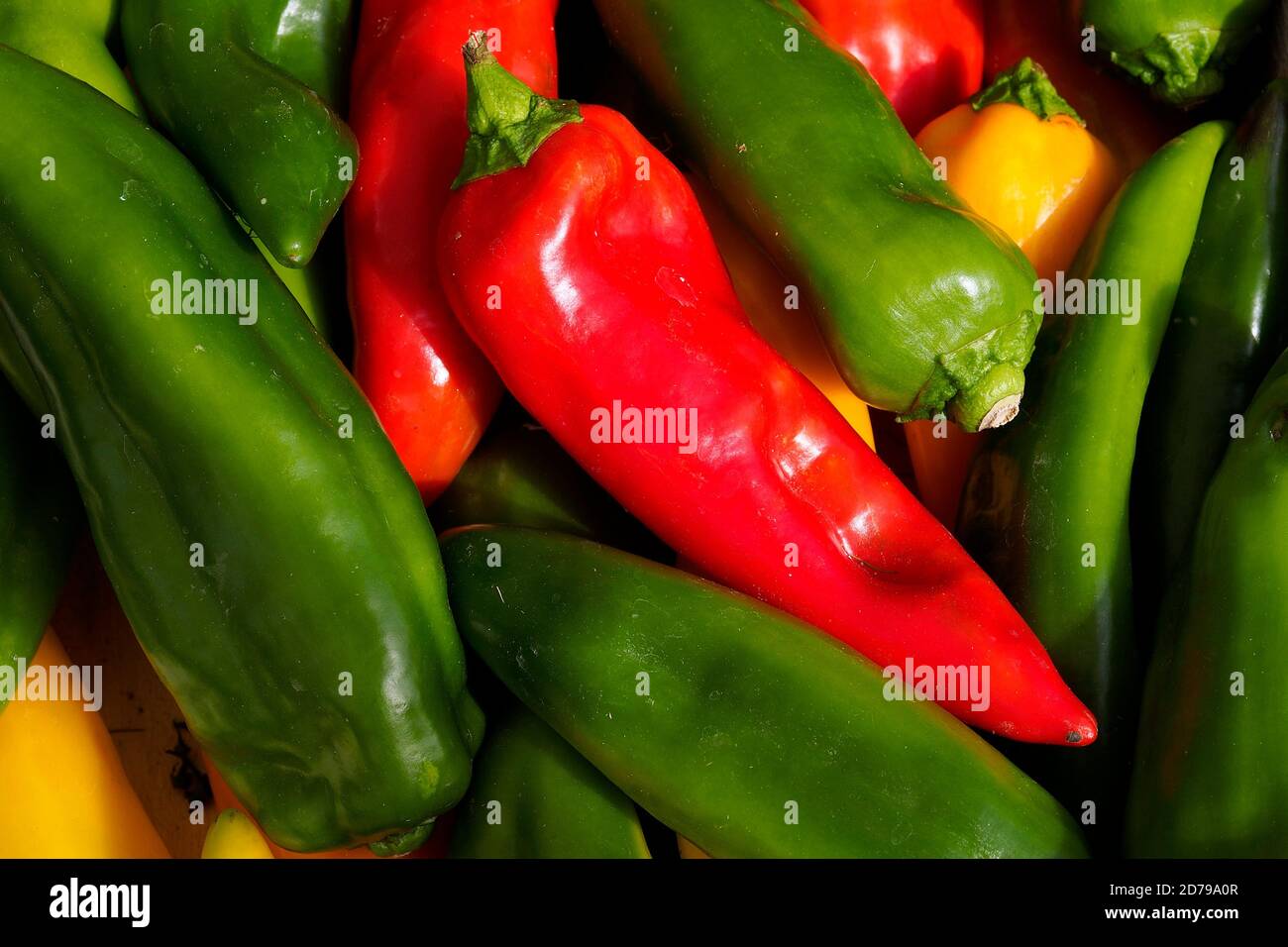Food. Peppers for sale in an outdoor food market Stock Photo Alamy