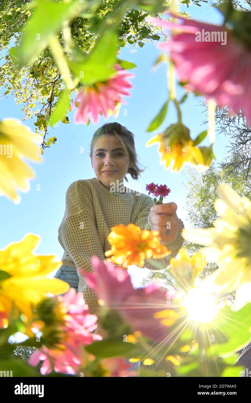 Young Girl with Bouquet Below View of Flowers In Field Stock Photo