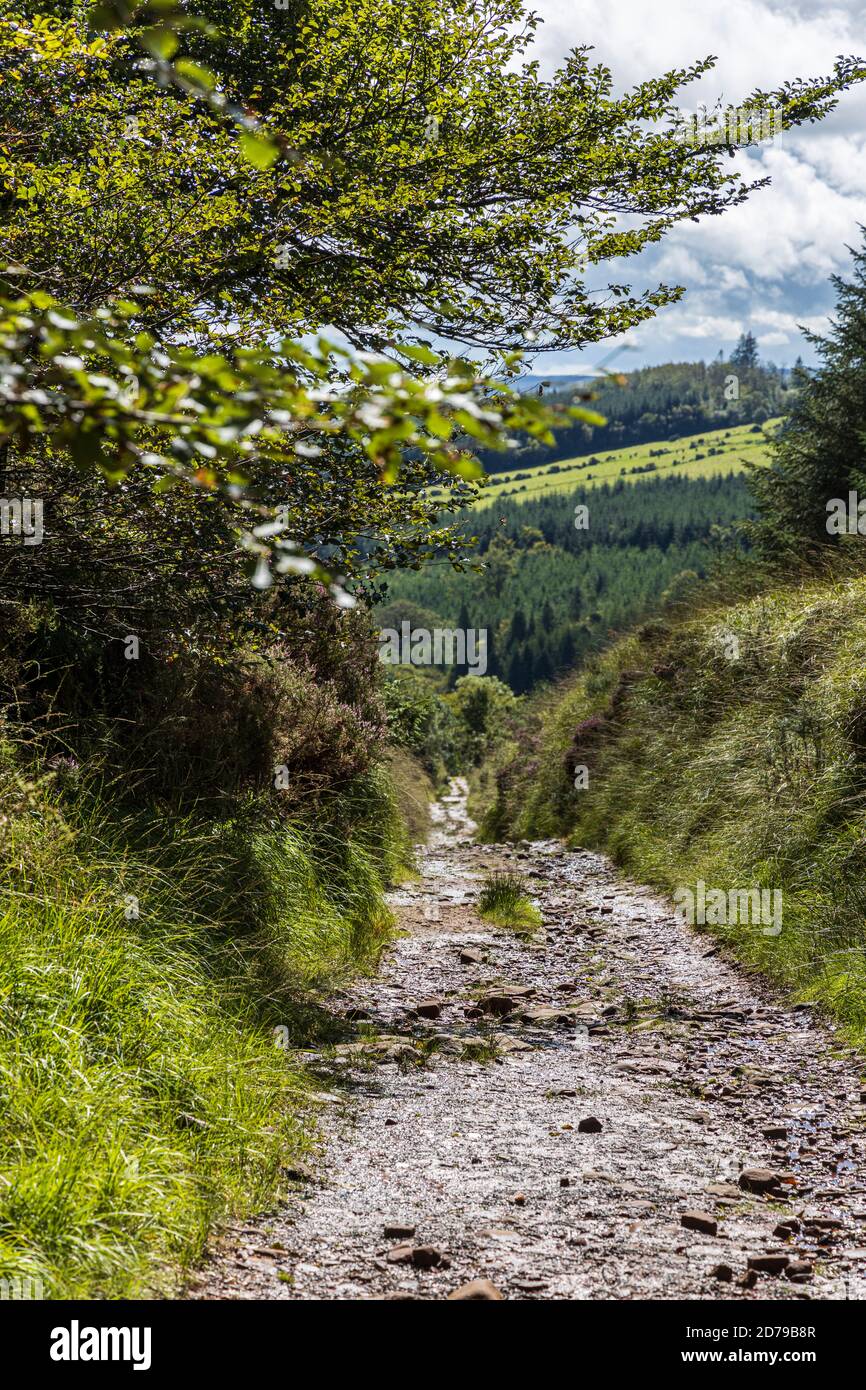 Galtees hires stock photography and images Alamy