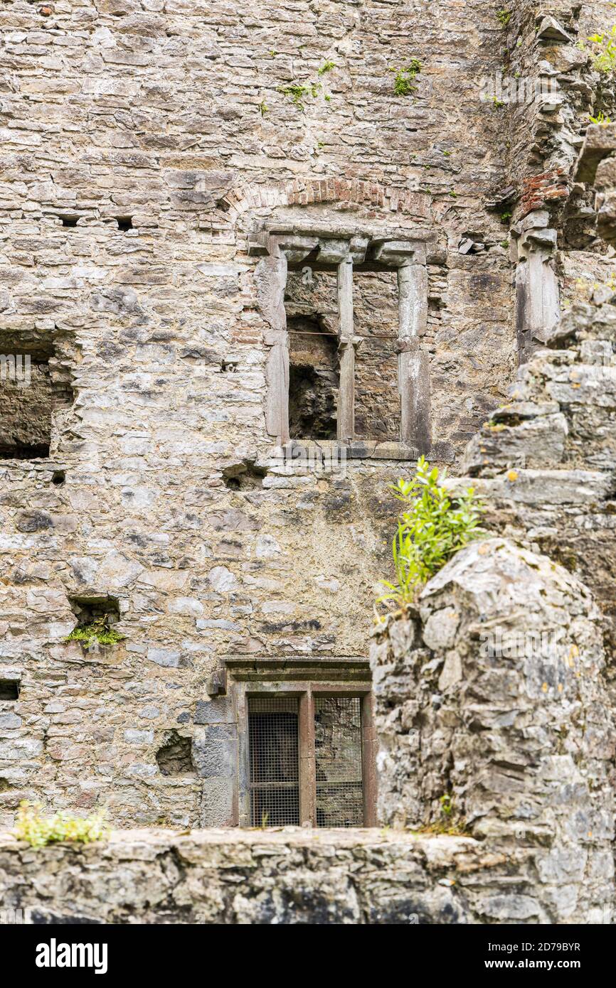 Ruins of the castle in Mallow, County Cork, Ireland Stock Photo