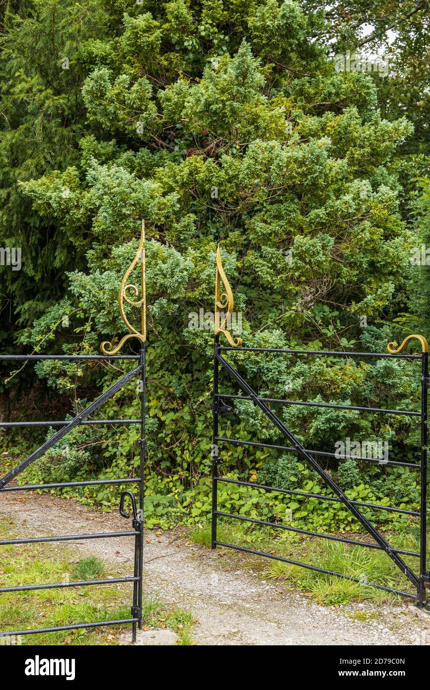 Wrought iron gate in the park at Mallow Castle,  County Cork, Ireland Stock Photo