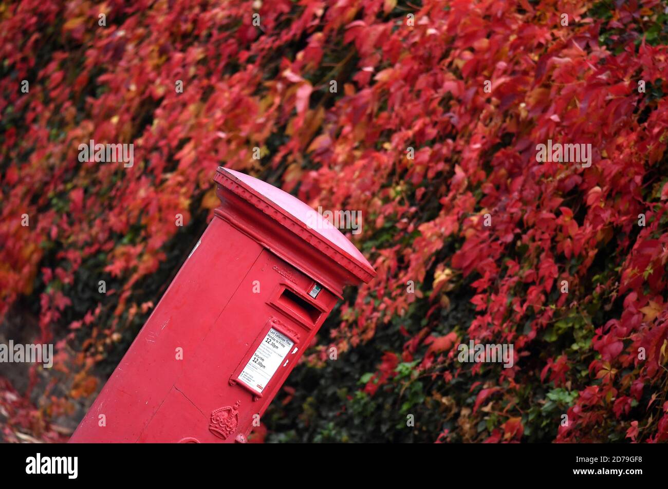 Post Box Online Shopping