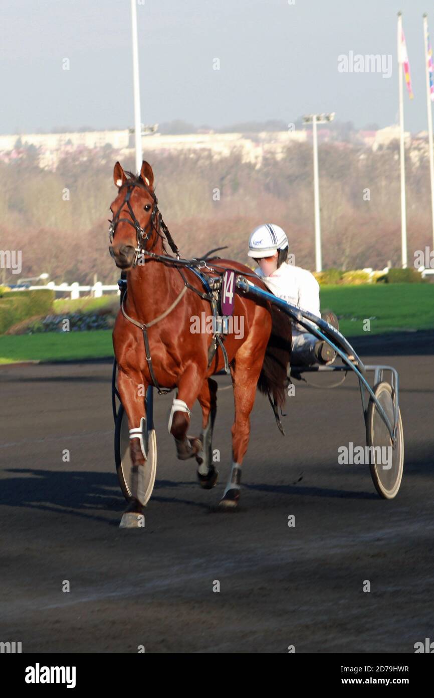 Paris Courses De Chevaux Sur L Hippodrome De Vincennes Stock Photo Alamy