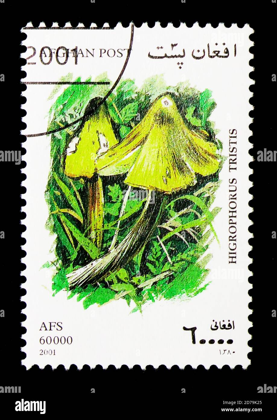 MOSCOW, RUSSIA - DECEMBER 21, 2017: A stamp printed in Afghanistan shows Blackening Waxcap (Hygrophorus tristis), Mushrooms serie, circa 2001 Stock Photo