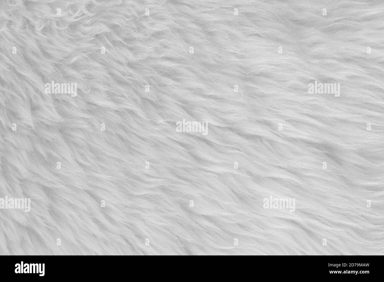 White real wool with beige top texture background. light cream natural sheep wool.  seamless plush cotton, texture of fluffy fur for designers Stock Photo