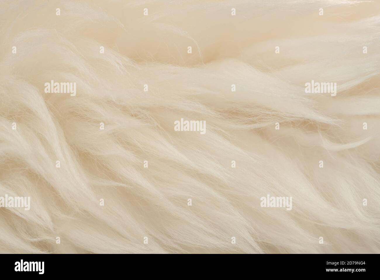 White real wool with beige top texture background. light cream natural ...
