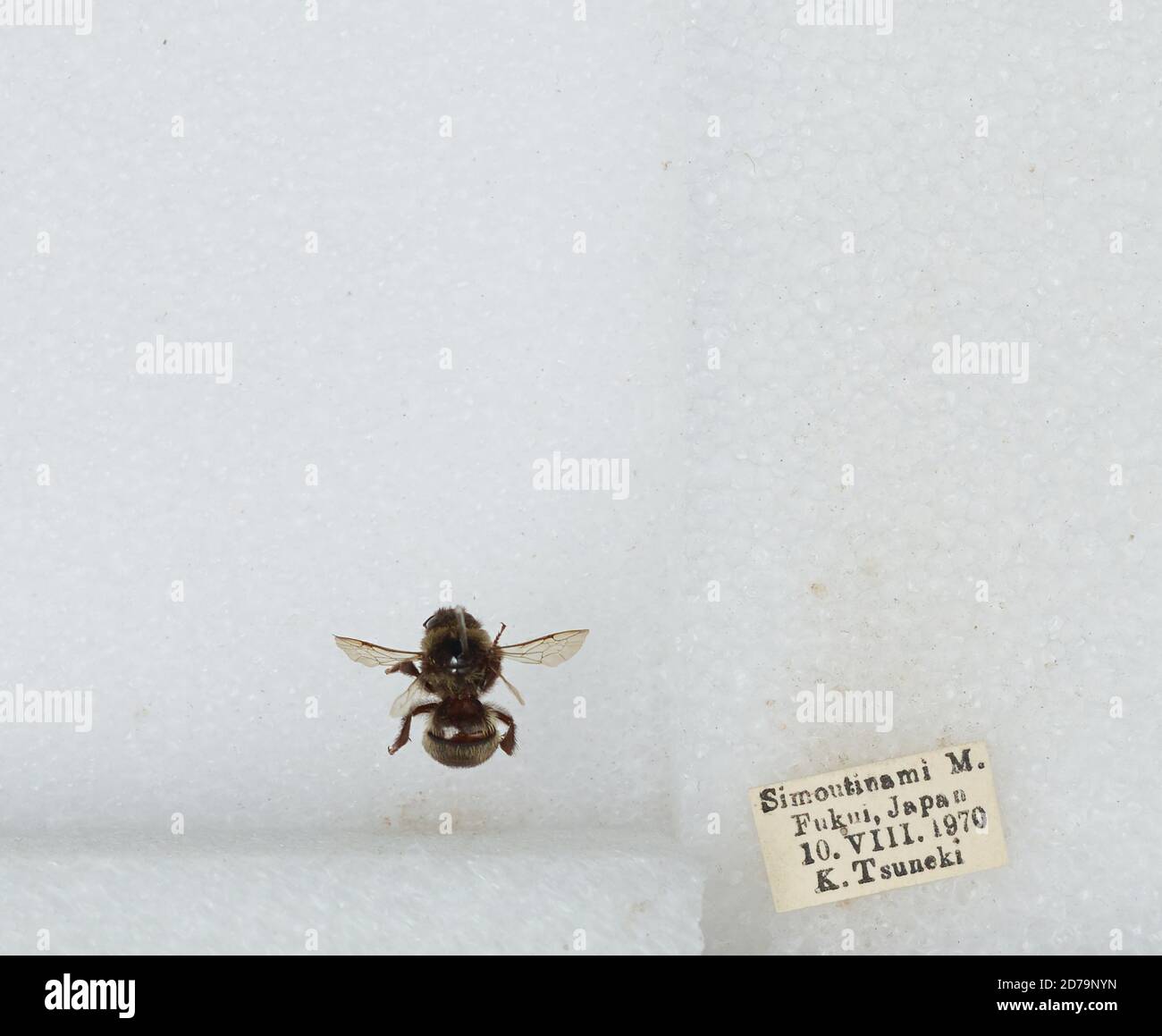 Fukui japan hi-res stock photography and images - Page 20 - Alamy