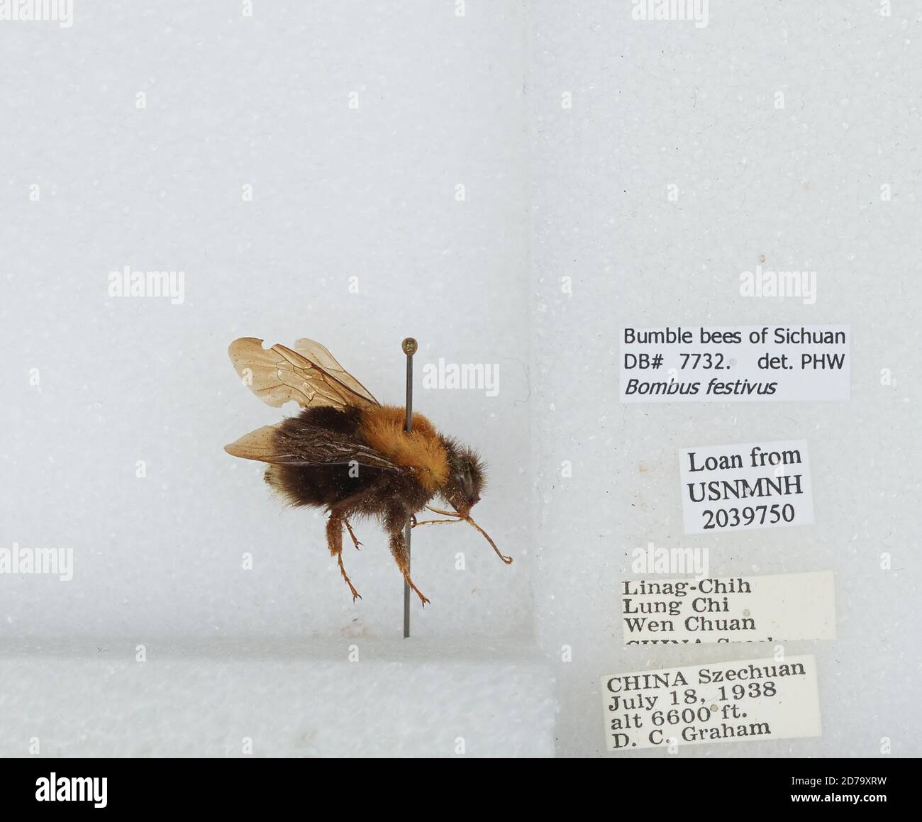 Linag chih lung chi wen chuan hi-res stock photography and images - Alamy