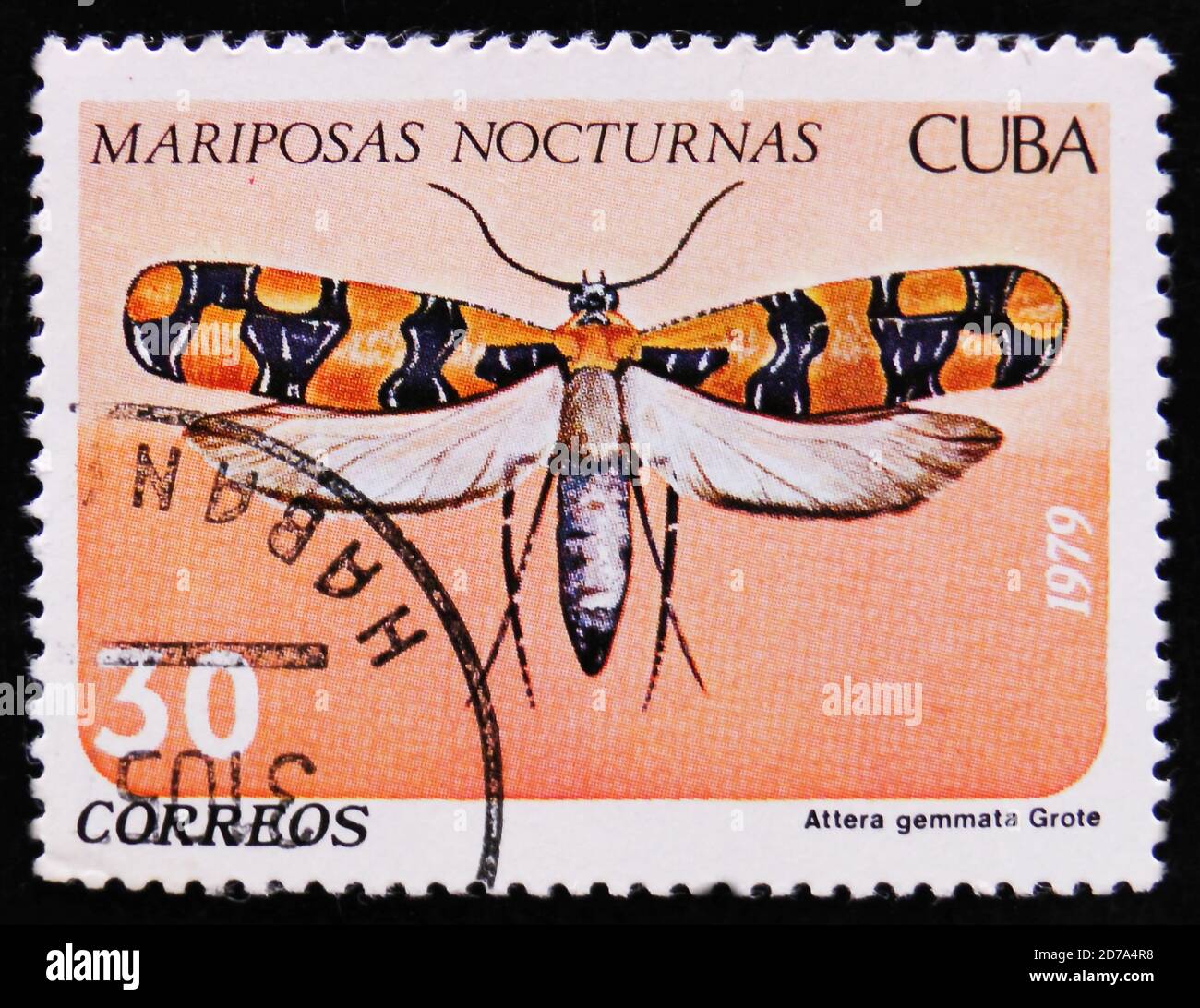 MOSCOW, RUSSIA - APRIL 2, 2017: A Stamp printed in Cuba shows image of a Attera gemmata Grote butterfly (Mariposas nocturnas), Night moth series, circ Stock Photo