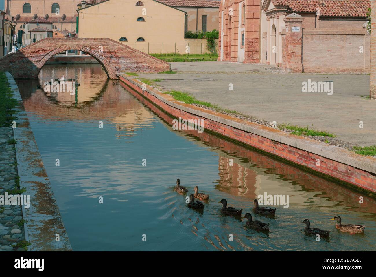 View of Comacchio canal and colrfoul houses with ducks of foreground Stock Photo