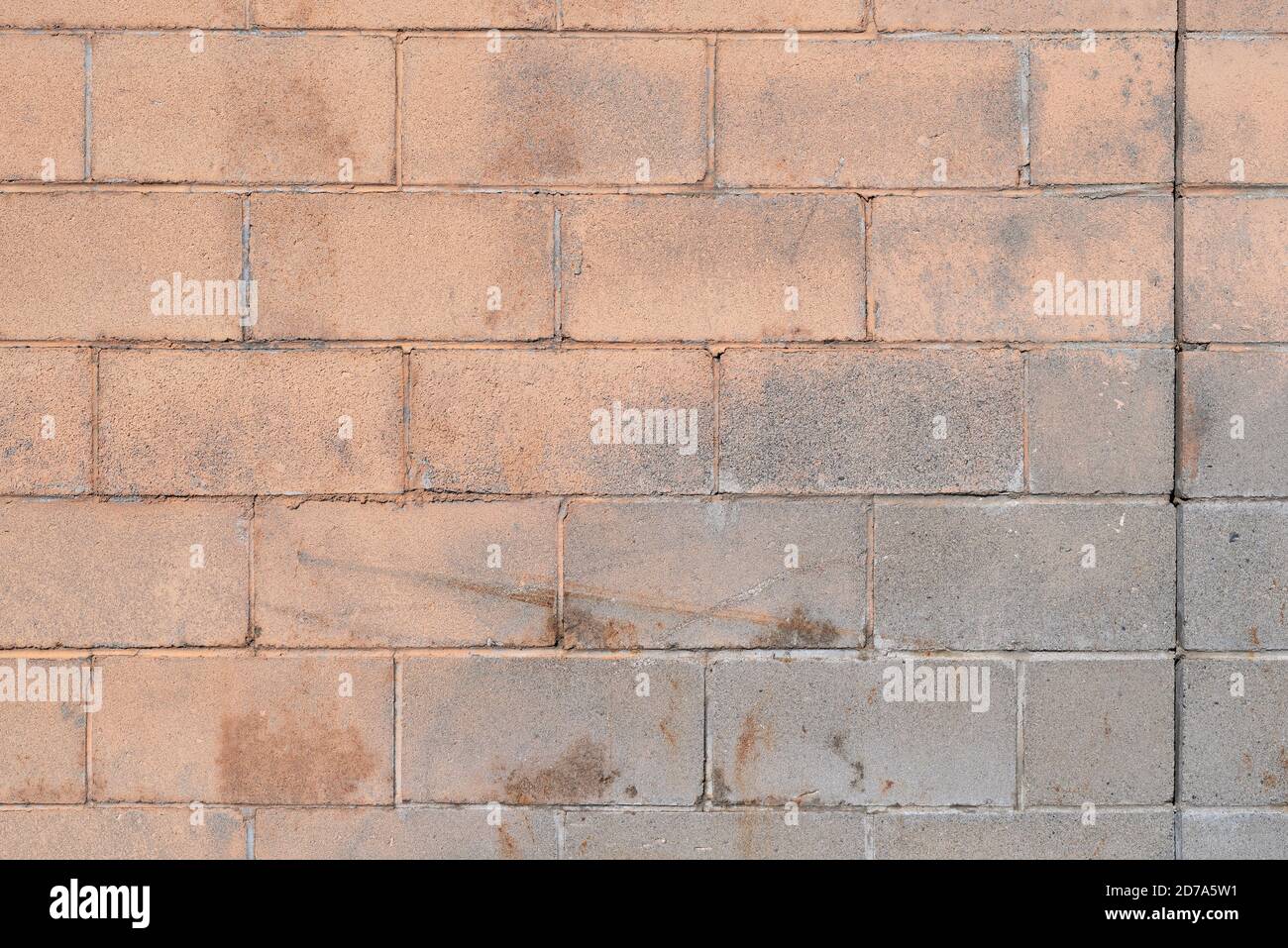 Expansion joint in a dirty masonry wall blocks with peeling beige paint and scratches from age in the early morning light. Stock Photo