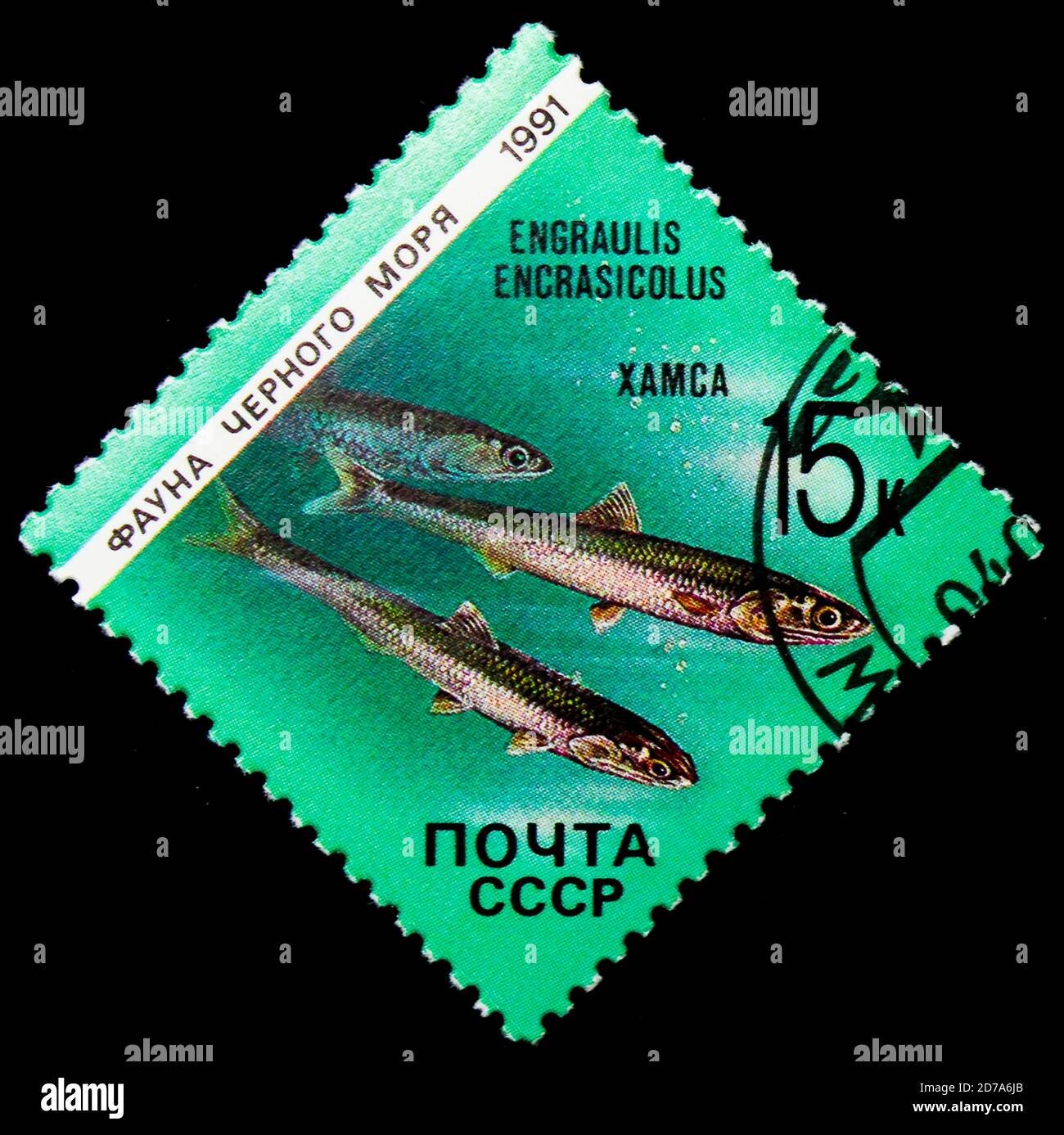 MOSCOW, RUSSIA - NOVEMBER 26, 2017: A stamp printed in USSR (Russia) shows European Anchovy (Engraulis encrasicolus), Fauna of Black Sea serie, circa Stock Photo