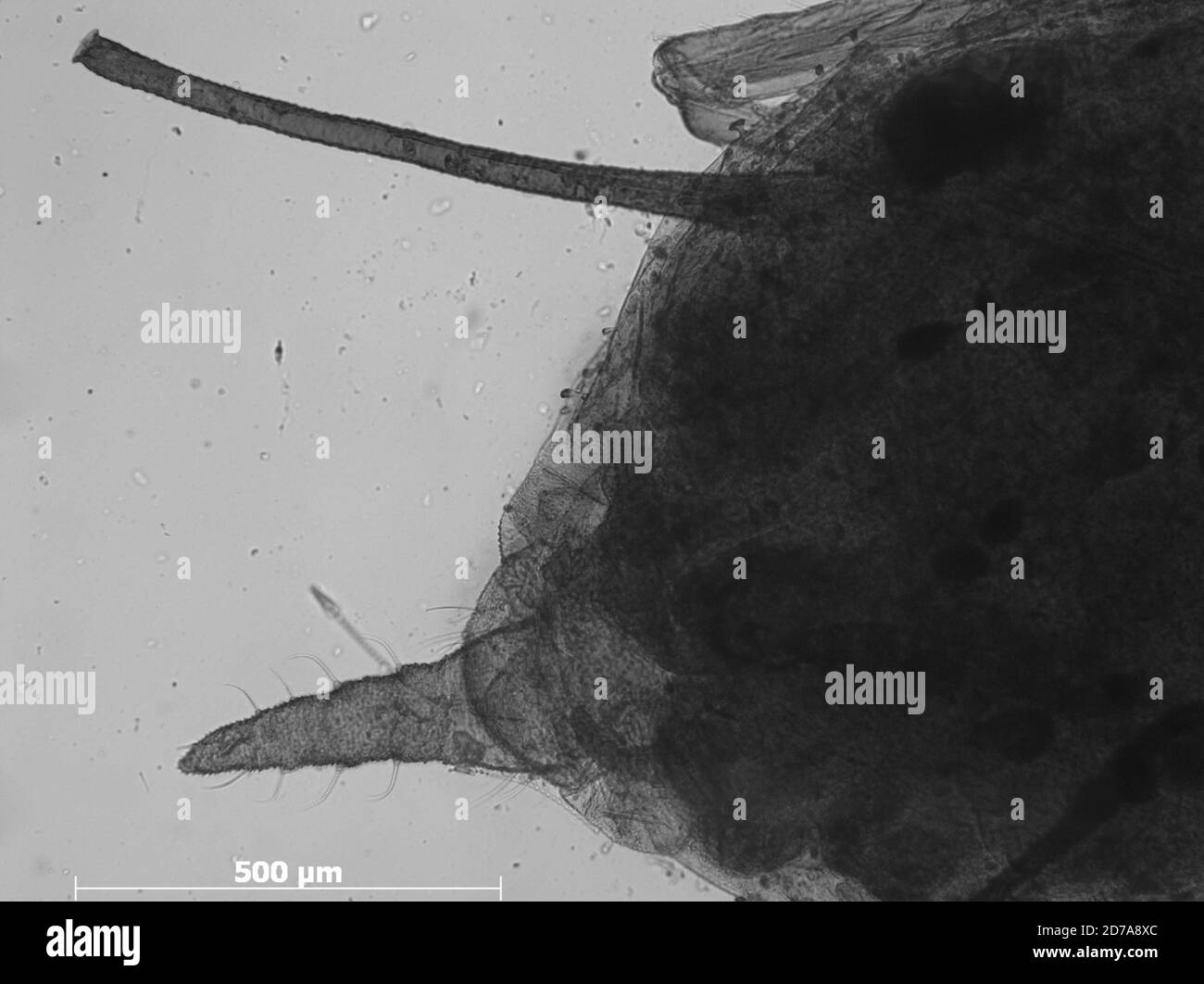 John knowlton hi-res stock photography and images - Alamy