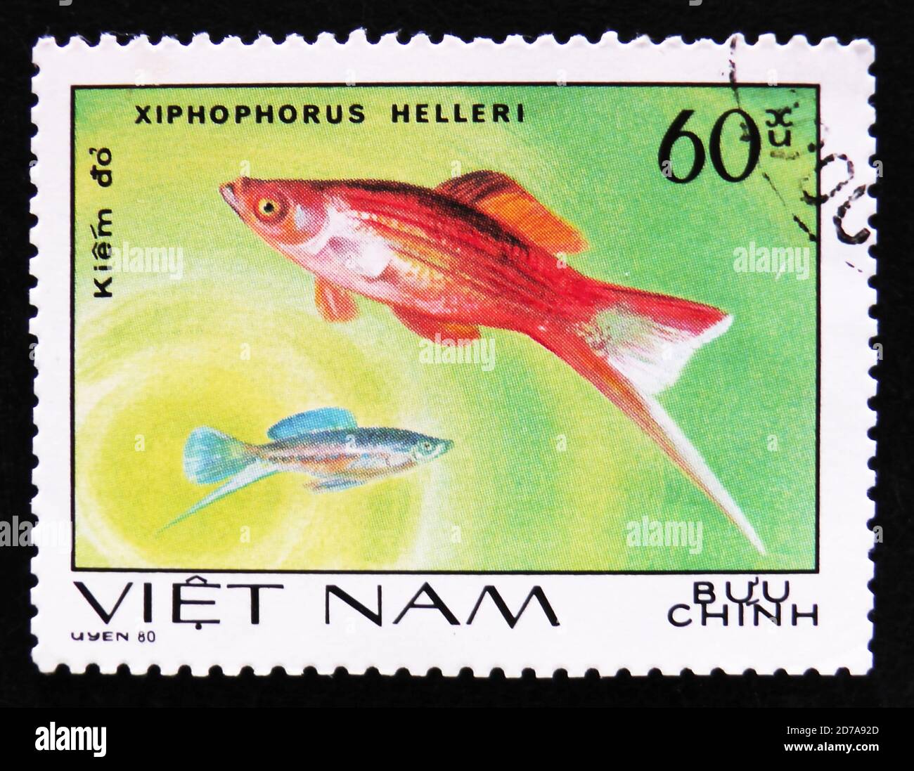MOSCOW, RUSSIA - APRIL 2, 2017: A post stamp printed in Vietnam shows fish Xiphophorus helleri, Aquarium fishes series, circa 1980 Stock Photo
