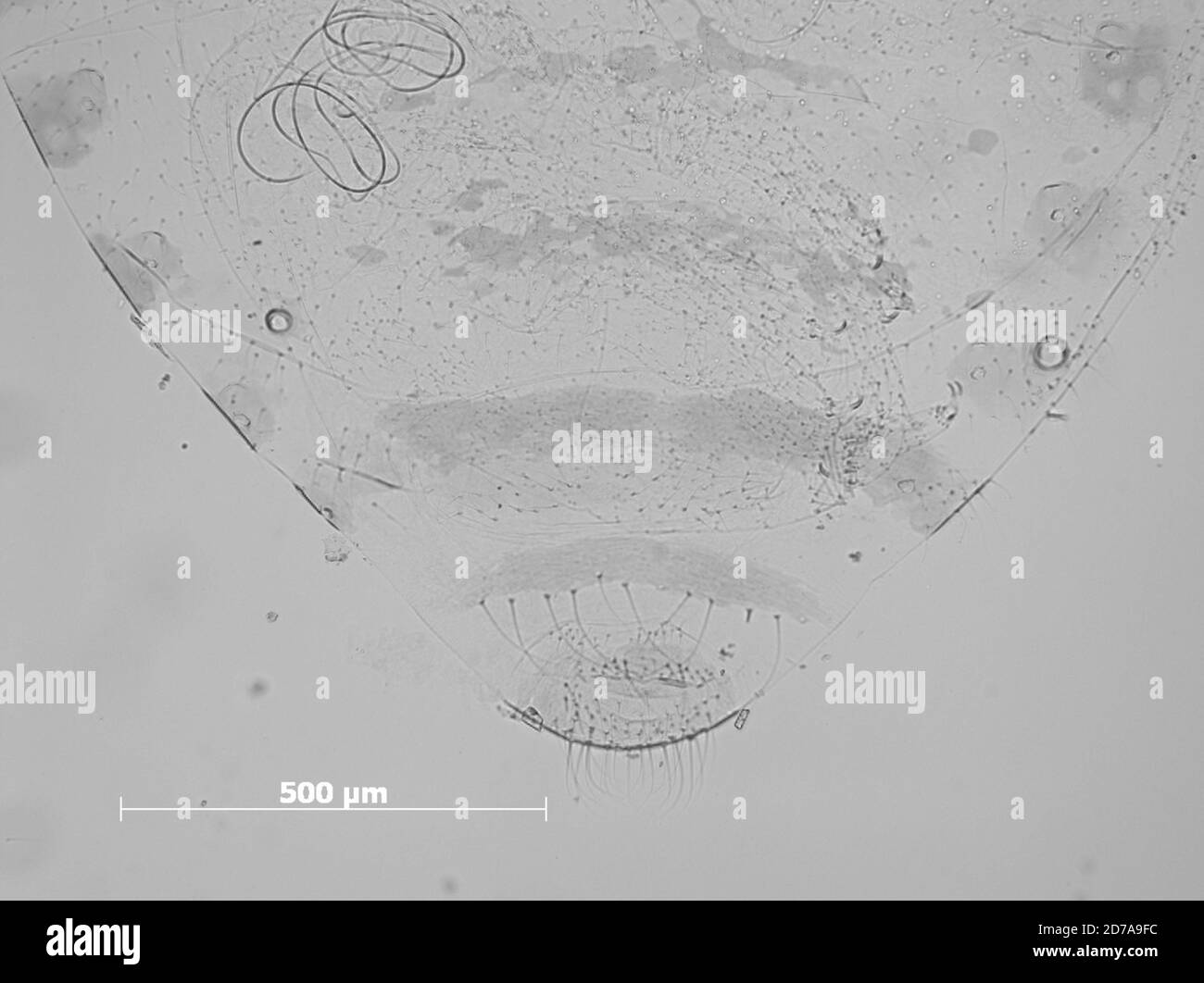 Intersection of apple valley and hurtz roads hires stock photography